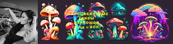 эйфоретик Вязьма