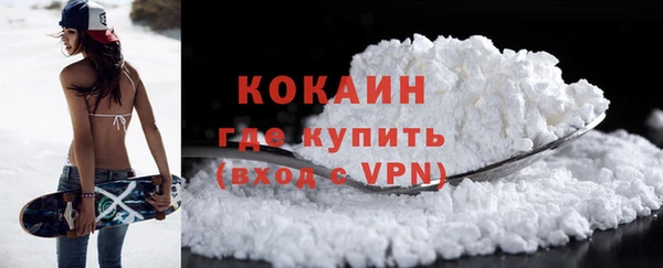 шишки Тихвин