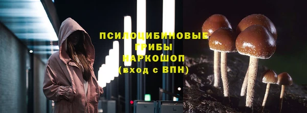 шишки Тихвин