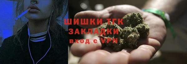 шишки Тихвин