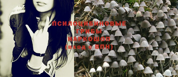 эйфоретик Вязьма